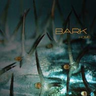 Bark "Home" (2007) / trip-hop, downtempo