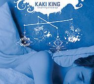 Kaki King- Dreaming Of Revenge (2008) / guitar