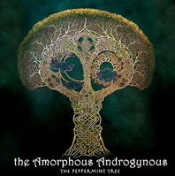 Amorphous Androgynous "the Peppermint Tree" (2008)