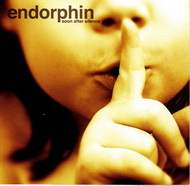 Endorphin - Soon After Silence (2007) // electronic, downtempo, trip-hop, ambient, cinematic, [Re:up]
