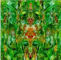 Bill Laswell - Emerald Either "Shape Shifting" 2000 Electronics / Dub / Experimental / World