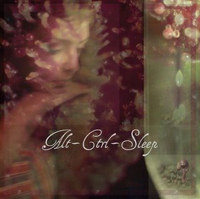 Alt-Ctrl-Sleep "Alt-Ctrl-Sleep" [2008] / lo-fi rock, pop