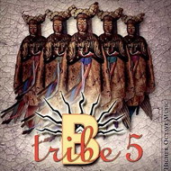 B-Tribe «5» (2003)/new age, ambient, chill out