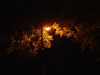 Bristle Weather - The Eyes Of A Night Town (2009) / IDM, ambient