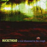 Buckethead - A Real Diamond In The Rough (2009) / instrumental progressive metal, rock