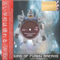 VA "The Sound of Funky Breaks: 80s Electro Remix–Album" / funky electro