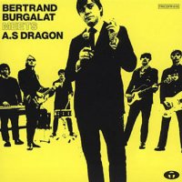 Bertrand Burgalat Meets A.S.Dragon (2003) / psychedelic rock, indie