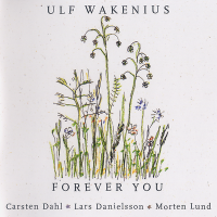 Ulf Wakenius «Forever You» (2003)/jazz