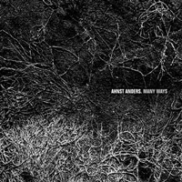 Ahnst Anders "Many Ways" (2009) IDM, Ambient, Experimental