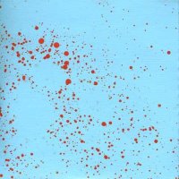 Shahs - DIVINE INTEREST (2009) Tropical / Live Electronics / Visual Shahs - DIVINE INTEREST (2009) Tropical / Live Electronics / Visual