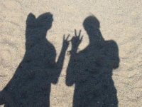 Shahs - DIVINE INTEREST (2009) Tropical / Live Electronics / Visual