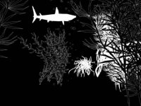 Funkstorung - Isolated. Triple Media. 2004 (DVDRip + MP3) / IDM, Electronic, Downtempo