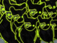 Funkstorung - Isolated. Triple Media. 2004 (DVDRip + MP3) / IDM, Electronic, Downtempo