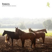 Tosca - Pony /No Hassle Versions/ (2010) electronic