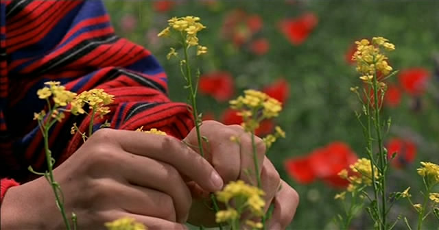 Цвет Бога/ Цвет рая / The Color of Paradise / Rang-e khoda (1999) | Маджид Маджиди / Madgid Madgidi Цвет Бога/ Цвет рая / The Color of Paradise / Rang-e khoda (1999) | Маджид Маджиди / Madgid Madgidi