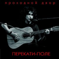 Юрий Наумов & Проходной двор - Перекати-поле (1989) + бонус/ русский блюз/ нерусский блюз/ просто хороший блюз