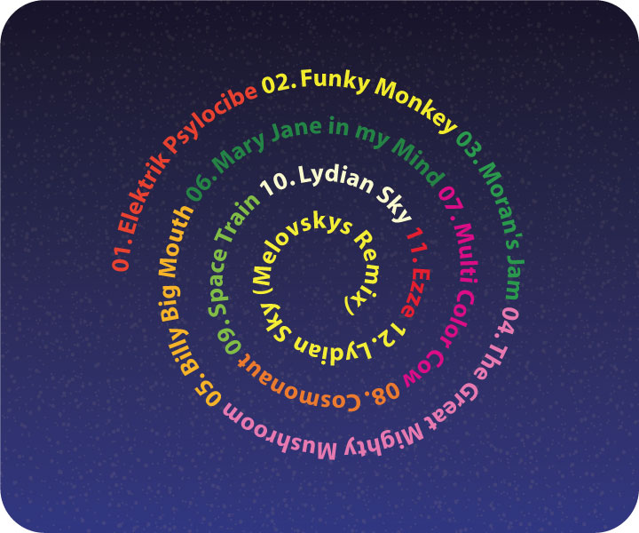 Space Funghi Project &mdash; Elektrik Psylocibe Experience (2006) / Dub, Future Jazz, Downtempo, Experimental, Big Beat