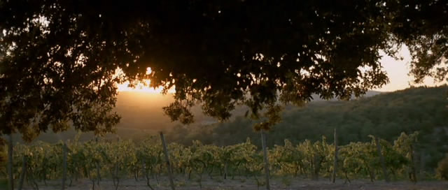 Ускользающая красота (1996) / Stealing Beauty / Io ballo da sola