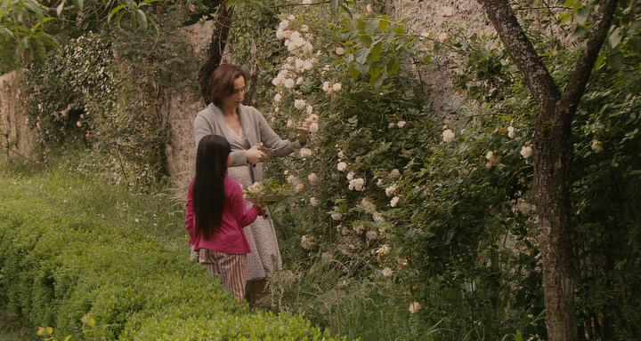 Я так давно тебя люблю (2008) / Il y a longtemps que je t'aime Я так давно тебя люблю (2008) / Il y a longtemps que je t'aime