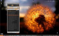 Bamboo - Dendelion Mix 2010 / Nu Disco Electro House