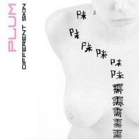 Plum — Different Skin (2009) / Leftfield, Folktronica, Downtempo, Ambient