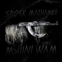 Spoek Mathambo – Mshini Wam (2010) / dubstep, hip hop, electro, techno, afrobeat