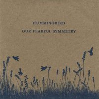 Hummingbird - Our Fearful Symmetry (Limited Edition) (2010) / Ambient, Neoclassical, Piano