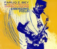 Faruq Z. Bey & Northwoods Improvisers - Emerging Field (2010) / Free Improvization , ethnofusion