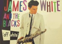 James Chance & the Contortions - избранные безумные нью-йоркские годы Джеймса / No Wave, Funk, Jazz