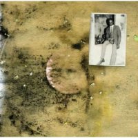 Madlib - Medicine Show (2010) / hip-hop, jazz, funk, instrumental, fusion Madlib - Medicine Show (2010) / hip-hop, jazz, funk, instrumental, fusion