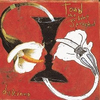 Toad The Wet Sprocket - Dulcinea (1994) / alternative rock Toad The Wet Sprocket - Dulcinea (1994) / alternative rock