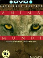 Душа Мира / Anima Mundi - Godfrey Reggio (1992) документальный, dvd