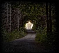 The Flashbulb - Love As A Dark Hallway ( 2011) / Electronic, IDM, Breaks, Instrumental The Flashbulb - Love As A Dark Hallway ( 2011) / Electronic, IDM, Breaks, Instrumental