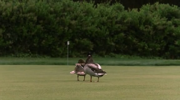 Траффик (2000) / Traffic