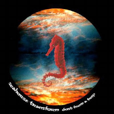 Seahorse Transform - Dust From A Trip (2006) / Electronic, Dub, Ambient