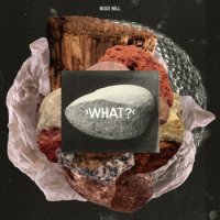 Bodi Bill - What (2011) / Electronic, Indie