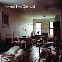 Forest Fire - Survival (2008) / urban folk, lo-fi