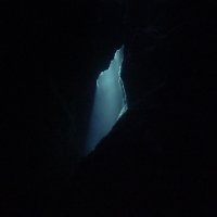 Balam Acab - See Birds [EP] (2010) & Wander/Wonder (2011) | electronic, dubstep, ethereal, witch house