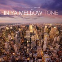 VA - In Ya Mellow / neo-jazz, jazzy hip-hop, instrumental hip-hop, nu-jazz