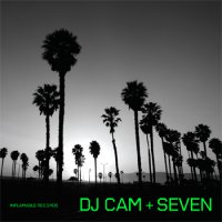 DJ Cam - Seven 2011/downtempo,electronic