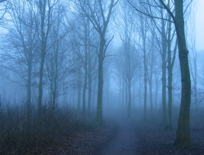 Blueneck – Repetitions (2011) / post-rock, ambient, персональный пропуск за Грань