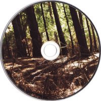 Liars – Sisterworld (2010) // alternative, post-punk revival, noise-rock, psychedelic, ambient, иллюминатор пасмурного завтра