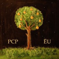 PCP & ЁU - PCP & ЁU (2011) / Perforated Cerebral Party & Ёлочные Игрушки /  Experiemental / IDM / Dubstep