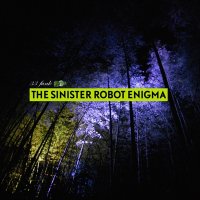 33 Funk - The Sinister Robot Enigma (2011) / Experimental Hip-Hop, Turntablism, Community Scratch Music