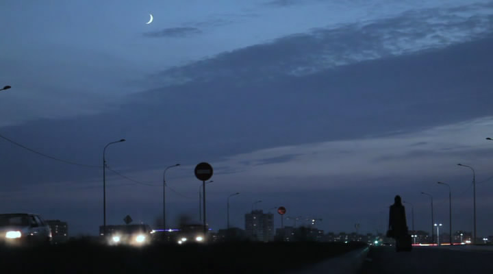 Портрет в сумерках (2011)