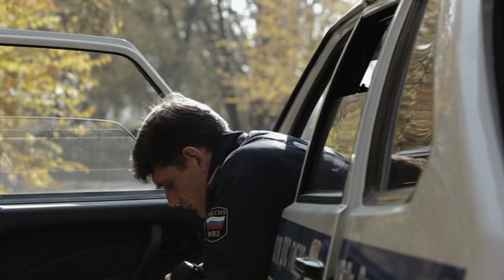 Портрет в сумерках (2011)