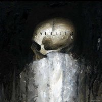 Saltillo - Monocyte (2012) / Trip-Hop, Modern Classical, IDM, Experimental, Electronic