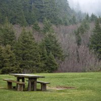 The Flashbulb - Opus At The End Of Everything (2012) / IDM, neoclassical, experimental