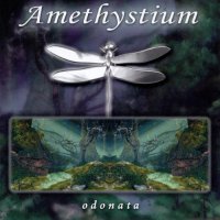 Amethystium - Odonata (2001) / New Age, Ambient, Chillout Amethystium - Odonata (2001) / New Age, Ambient, Chillout
