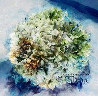 Flёur - Пробуждение (2012) / cardiowave, Ukraine Flёur - Пробуждение (2012) / cardiowave, Ukraine